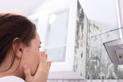 Family Heard Buzzing Sounds From Ceiling, It Turned Out To Be Thousands Of Bees