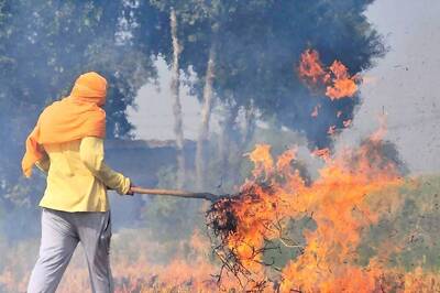 Significant Drop in Number of Farm Fires in Punjab, Haryana This Year: CAQM
