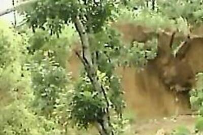 75 killed in landslides in Indonesia, rescue difficult