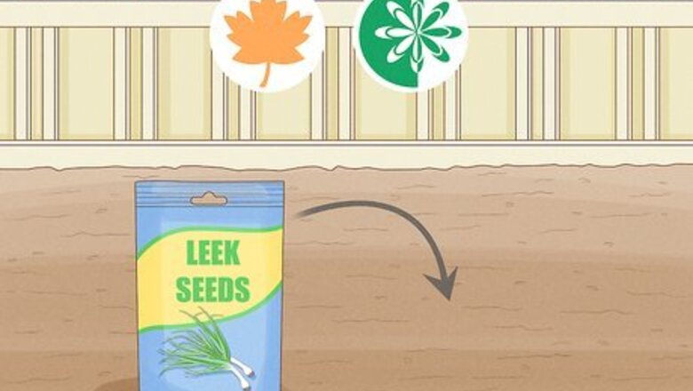 How to Grow Leeks