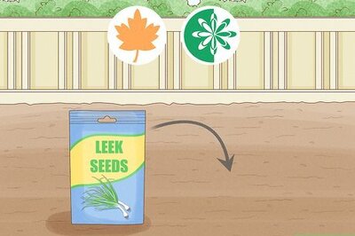 How to Grow Leeks