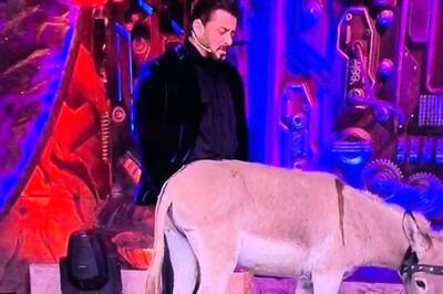 Bigg Boss 18: Donkey Max AKA Gadharaj Gets Removed From The Show After Pressure From PETA And PFA