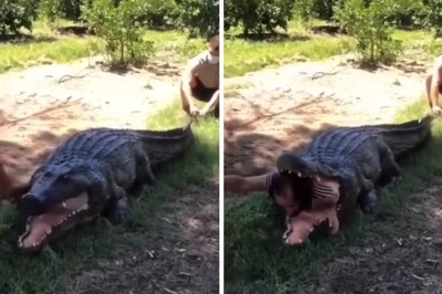 This Video Of Man Coming Out Alive From Crocodile's Jaws Is Trending