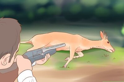 How to Field Dress a Deer