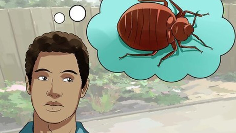 How to Diagnose Powassan Disease