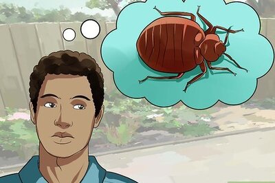 How to Diagnose Powassan Disease