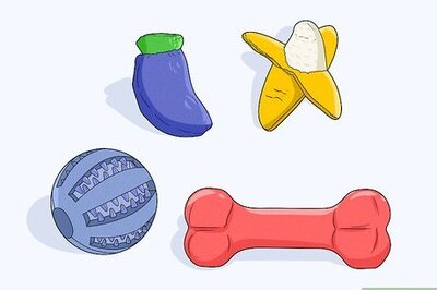 How to Stop a Puppy from Chewing Its Bed