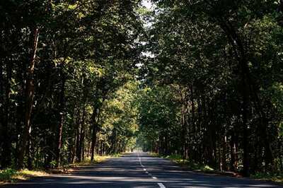 Centre Gives Over Rs 47,000 Crore to 27 States for Green Activities