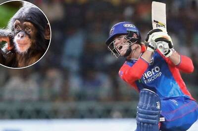 Delhi Capitals' Jake Fraser-McGurk Harmed By a Monkey? Bizarre News From His U19 WC Goes Viral Again