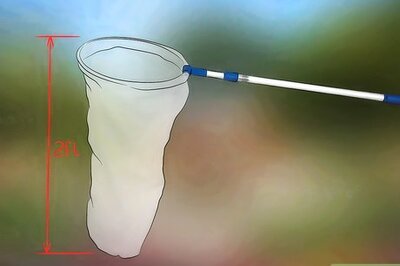 How to Catch Butterflies