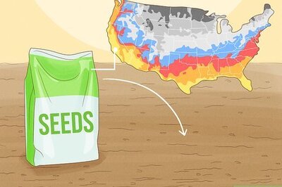 How to Plant a Seed