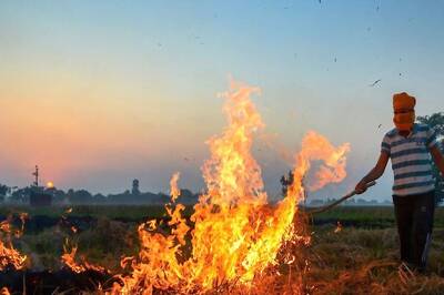 Farm Fires Surge in Delhi's Neighbouring Regions; AQI in 'Moderate' Category