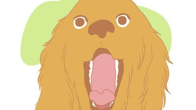 How to Understand Your Dog's Vocal Language