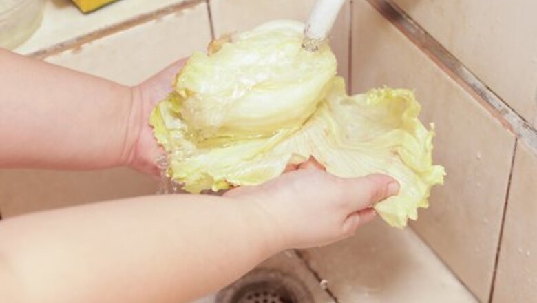 How to Shred Lettuce