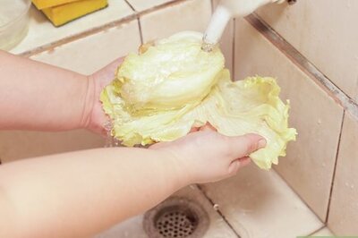 How to Shred Lettuce