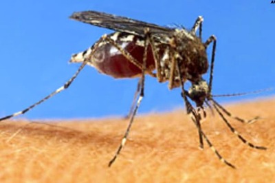 Telangana's Khammam District Records Over 1,300 Dengue Cases