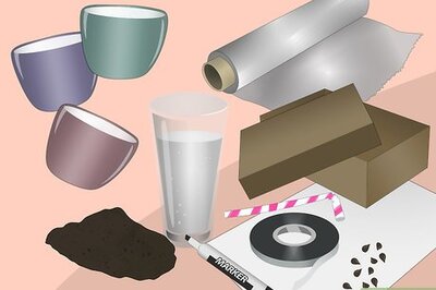 How to See if Flowers Lean Towards the Sun