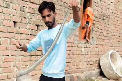 Watch: Rescuer Saves Snake Hiding Inside A Drain With His Bare Hands