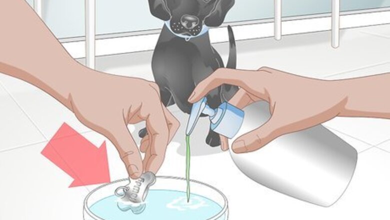 How to Clean Your Dog's ID Tag
