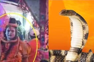 30-Year-Old Bihar Man Succumbs To Snakebite In Madhepura