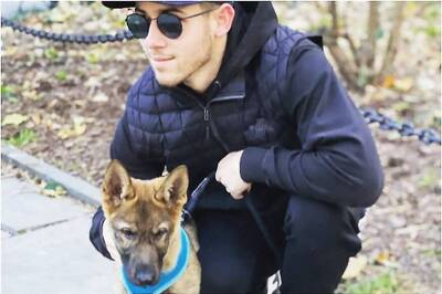 Here's Why Nick Jonas Reacted Surprised on Receiving Gino the German from Priyanka Chopra