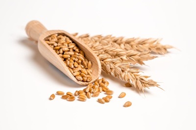 Expert Shares Tips To Find Out Whether You Are Wheat Intolerant Or Not