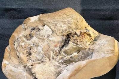 World’s Oldest Heart Discovered In Fish, It Dates Back 380 Million Years