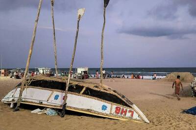 Fearing Cyclone Asani, West Bengal Farmers Sell Raw Mangoes To Avoid Losses