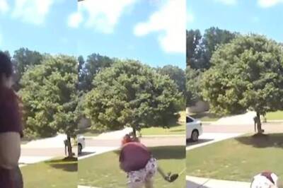 This Dog, Excited To Go Out, Pulls Its Owner. What Happens Next Is Hilarious