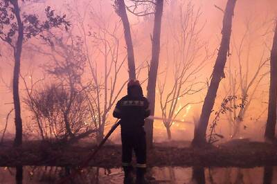 As Athens Burns Again, Greeks Fear Wildfires Have Now Turned Into A Recurring Annual Crisis