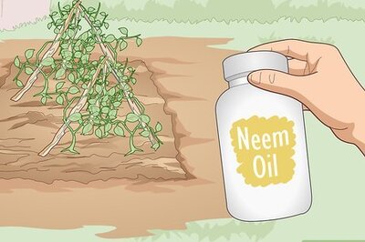 How to Use Organic Pesticides for Gardening