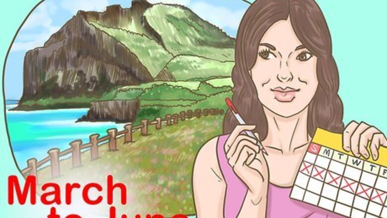 How to Go to Jeju Island