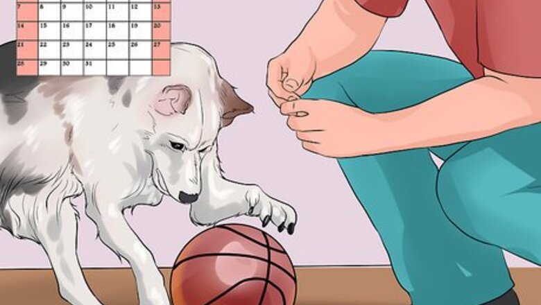 How to Give Your Lonely Dog Some Company