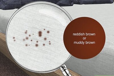 How to Identify Bed Bug Droppings