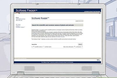 How to Write a Scientific Name