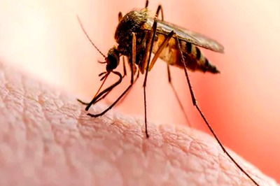 West Bengal Not Sharing Dengue Data with Centre Despite Repeated Requests: Union Minister