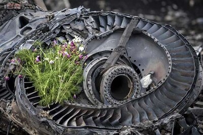 MH17 never strayed into restricted airspace: Malaysian minister