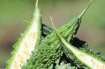 Know The Amazing Health Benefits Of Bitter Gourd