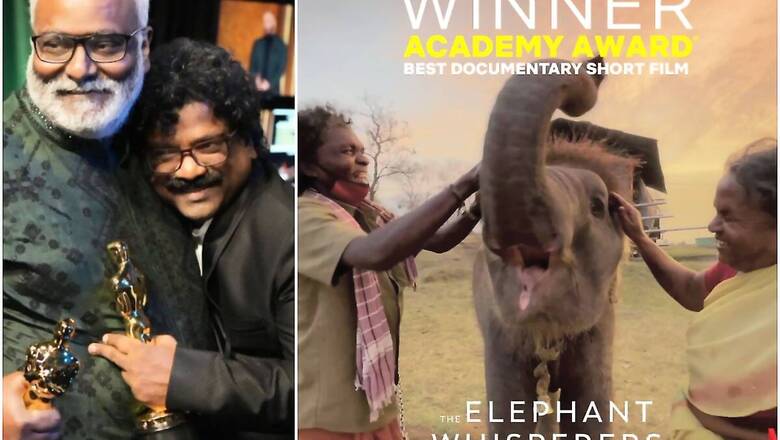 News18 Afternoon Digest: 2 Big Wins for India at the Oscars; India Qualify for World Test Championship Final & More