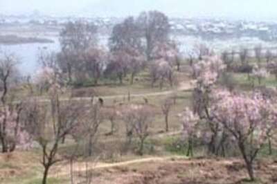 All villages in J&K to get road by 2009