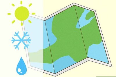 How to Choose Japanese Maple Trees