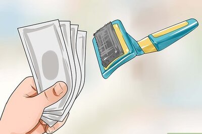 How to Brush a Long Haired Dog