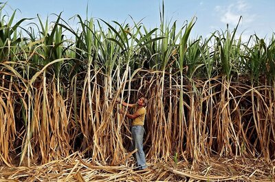 Worst Seems to Be Over, Farm Sector to Cushion Covid-19 Impact on Economy: FinMin Report