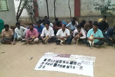 Hyderabad High Court Asks Govt To Crack Down on Illegal Cockfighting in Andhra