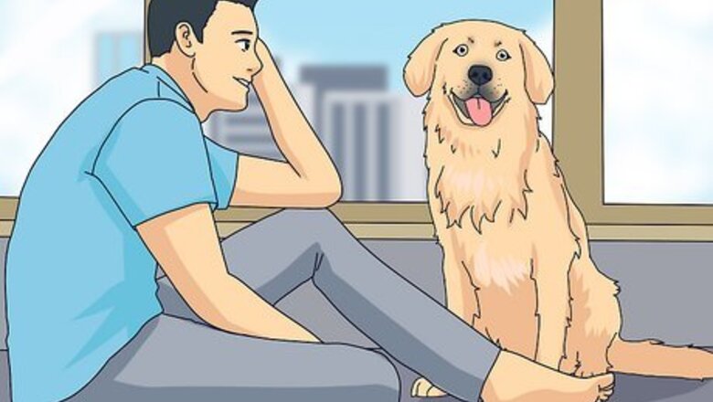 How to Choose the Right Dog for Your Family