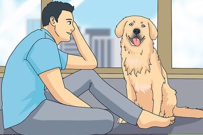 How to Choose the Right Dog for Your Family