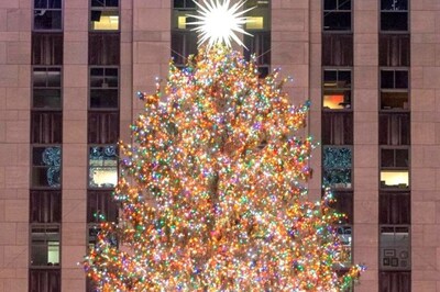 Rockefeller Center To Trafalgar Square, 5 Most Viral Christmas Trees Around The World