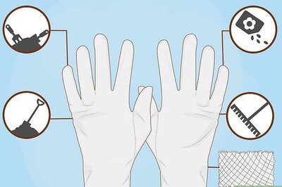 How to Buy Gardening Gloves