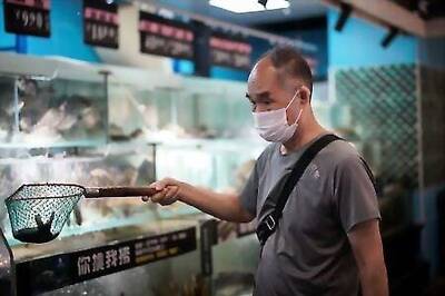 Nothing To See: COVID Origins Off-limits As China's Wuhan Touts Recovery