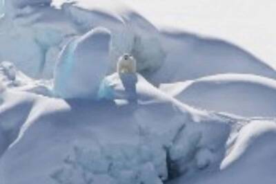 Research Says Climate Change is Linked to Coastal Glacier Retreat